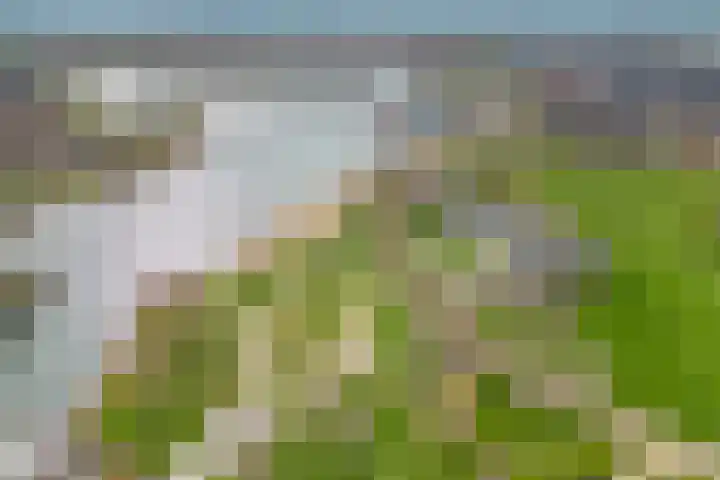 Blauwgras 28 Houten thumbnail 34
