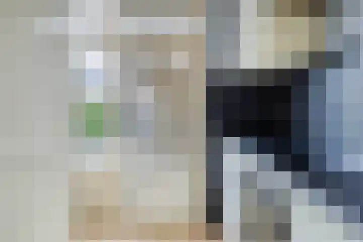Blauwgras 29 Heerenveen thumbnail 12