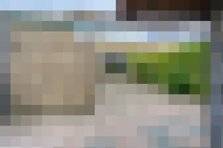 Blauwgras 29 Heerenveen thumbnail 32
