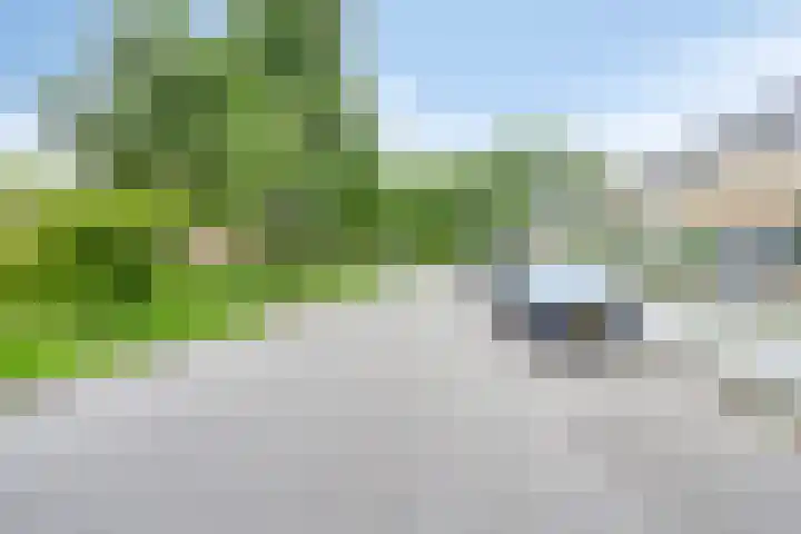 Blauwgras 29 Heerenveen thumbnail 40
