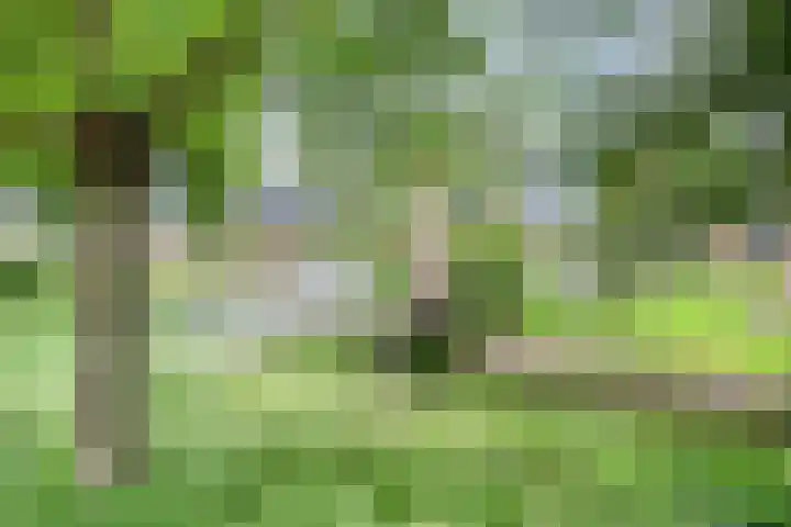 Blauwgras 29 Heerenveen thumbnail 41