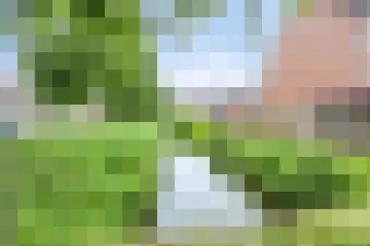 Blauwgras 29 Heerenveen thumbnail 42
