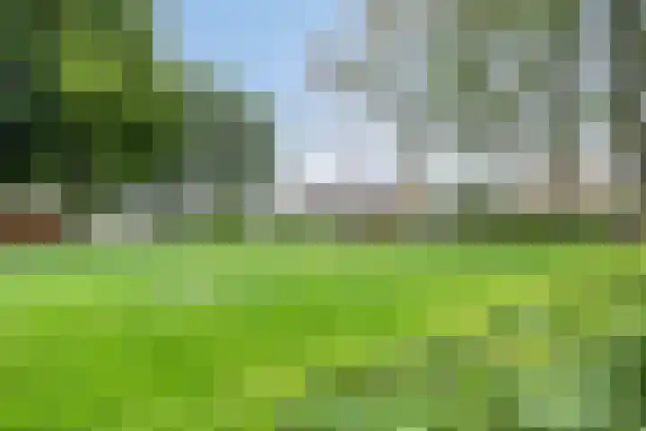 Blauwgras 29 Heerenveen thumbnail 43