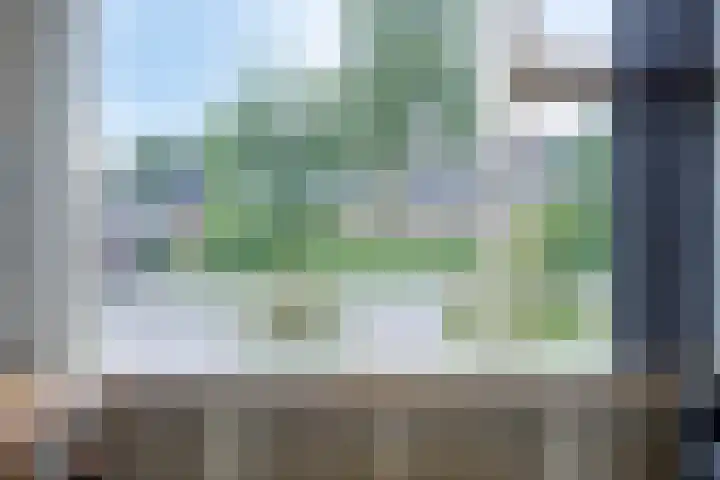 Blauwgras 29 Heerenveen thumbnail 9