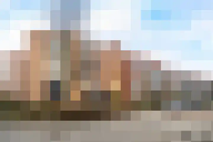 Blauwgras 3 01 Veenendaal thumbnail 29