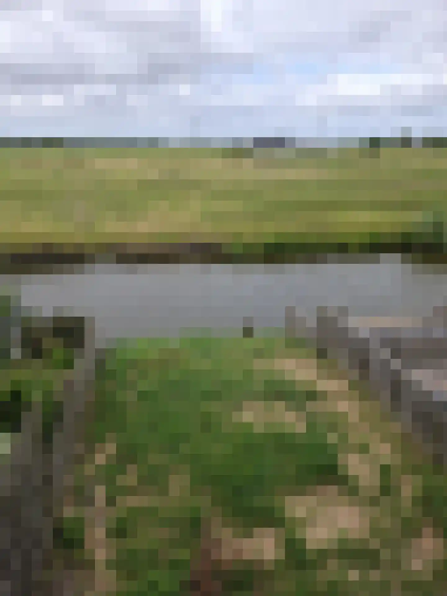 Blauwgras 33 Spijkenisse thumbnail 11
