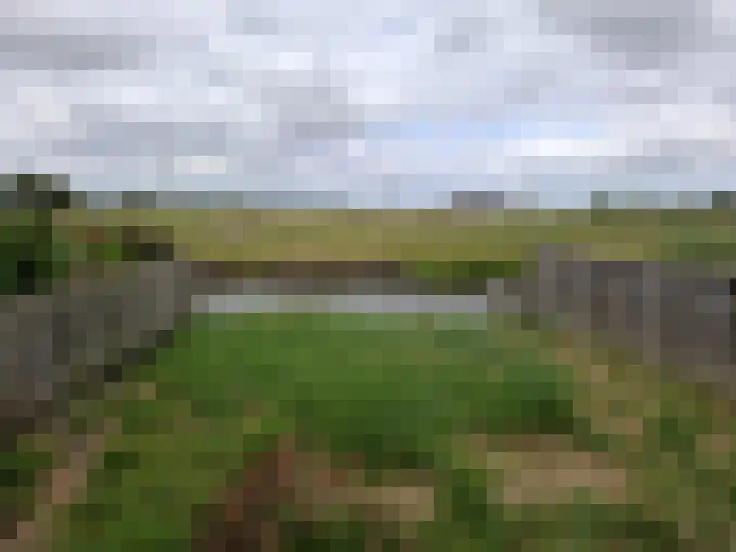 Blauwgras 33 Spijkenisse thumbnail 12