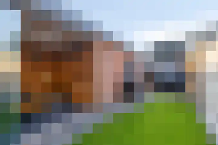 Blauwgras 36 Stroe foto 2