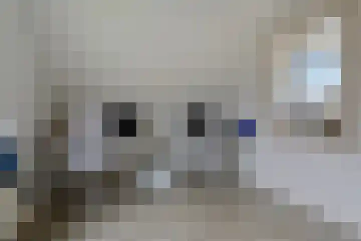Blauwgras 36 Stroe thumbnail 20