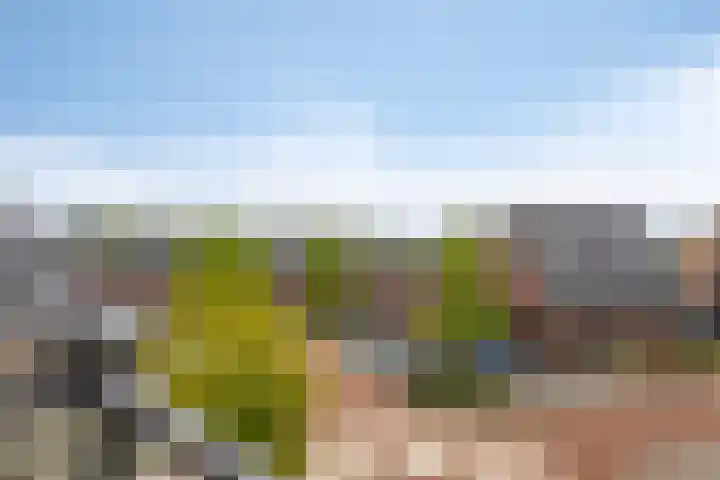 Blauwgras 36 Stroe thumbnail 23