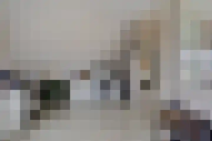 Blauwgras 36 Stroe thumbnail 26