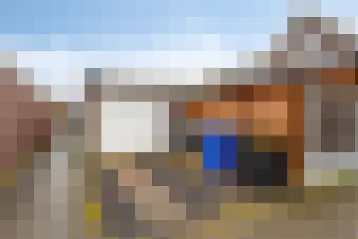 Blauwgras 36 Stroe thumbnail 27