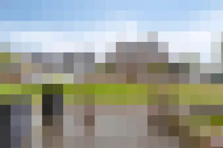 Blauwgras 36 Stroe thumbnail 4