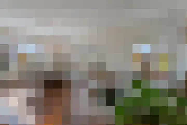 Blauwgras 36 Stroe thumbnail 7