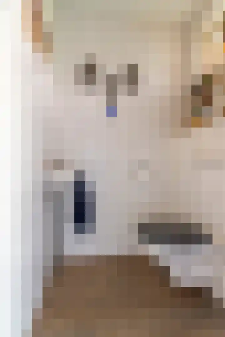 Blauwgras 4 Veenendaal thumbnail 12