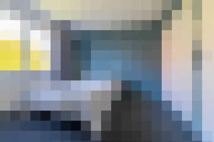 Blauwgras 4 Veenendaal thumbnail 15