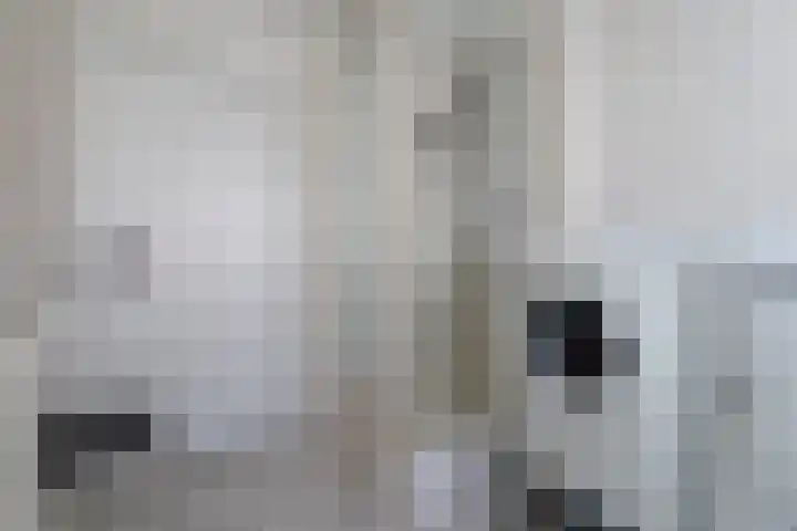 Blauwgras 4 Veenendaal thumbnail 21