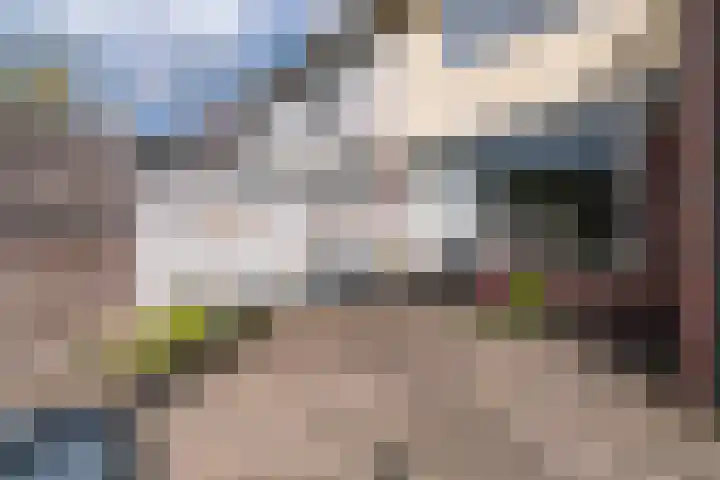 Blauwgras 4 Veenendaal thumbnail 27