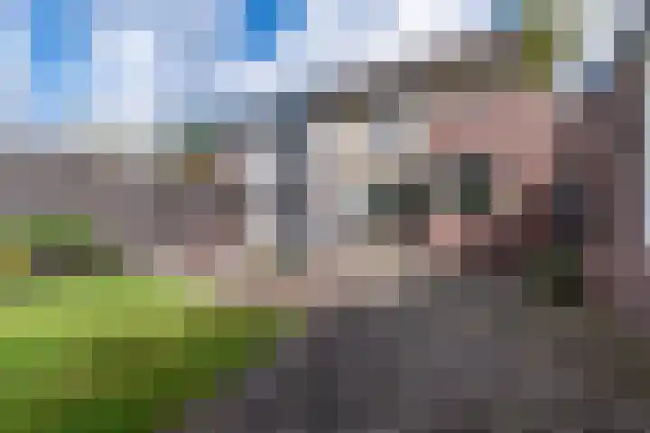 Blauwgras 4 Veenendaal thumbnail 28