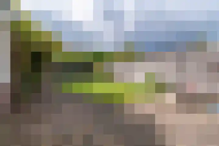 Blauwgras 4 Veenendaal thumbnail 29