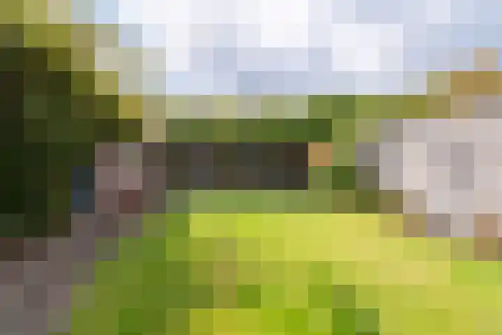 Blauwgras 4 Veenendaal thumbnail 30