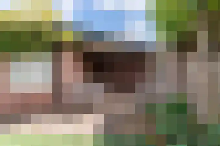 Blauwgras 4 Veenendaal thumbnail 31
