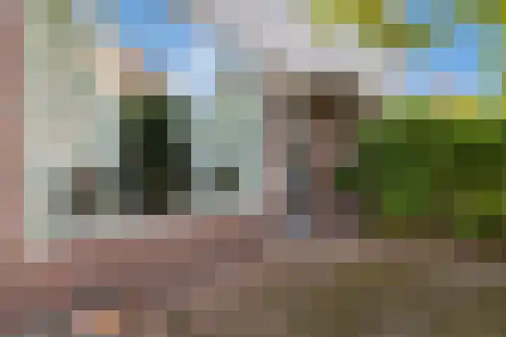 Blauwgras 4 Veenendaal thumbnail 32