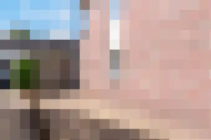 Blauwgras 4 Veenendaal thumbnail 33