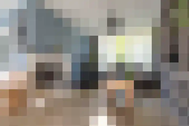 Blauwgras 4 Veenendaal thumbnail 4