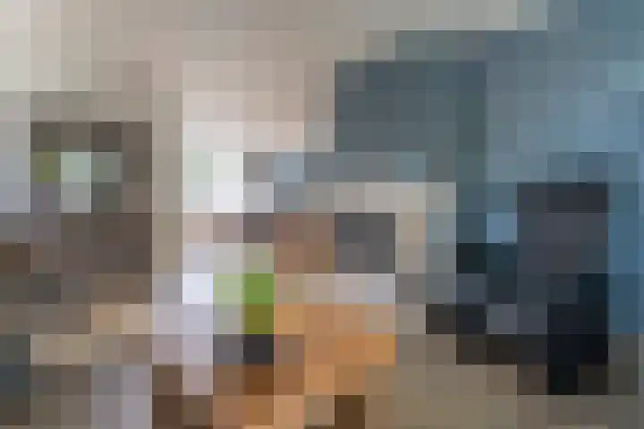 Blauwgras 4 Veenendaal thumbnail 5