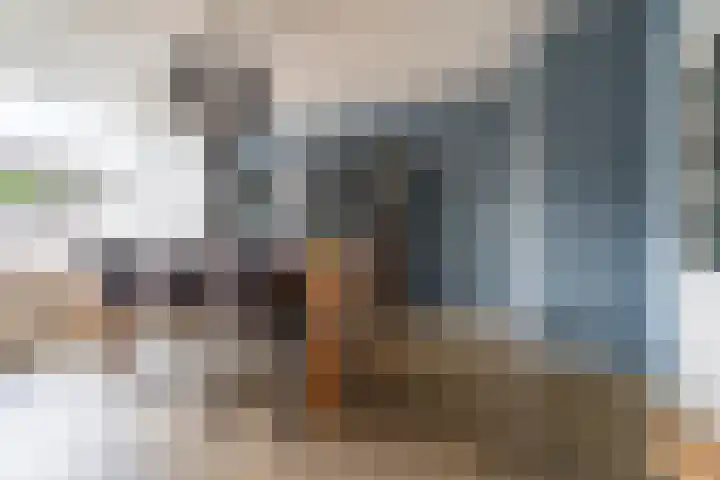 Blauwgras 4 Veenendaal thumbnail 6