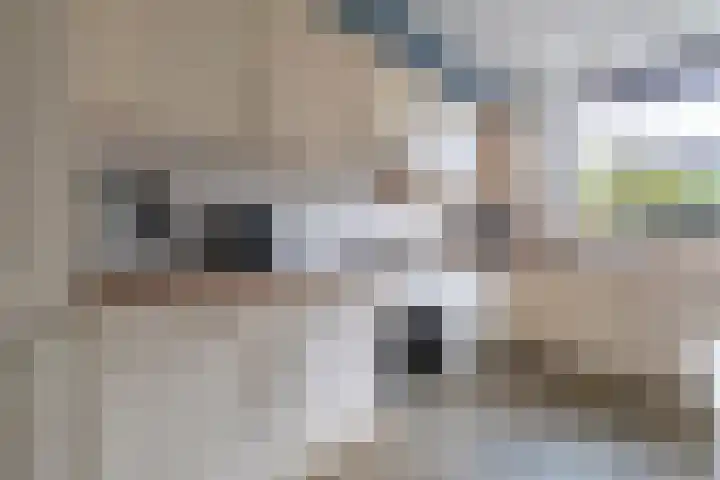 Blauwgras 4 Veenendaal thumbnail 8