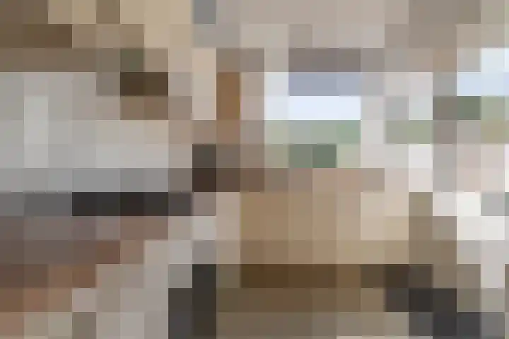 Blauwgras 4 Veenendaal thumbnail 9