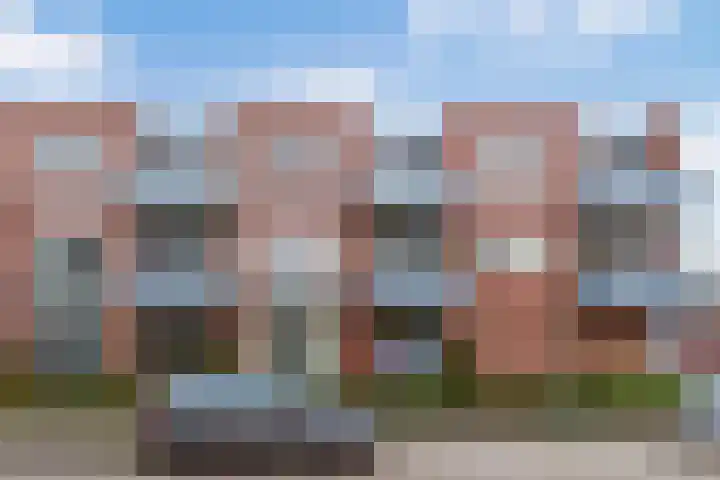 Blauwgras 5 10 en Veenendaal