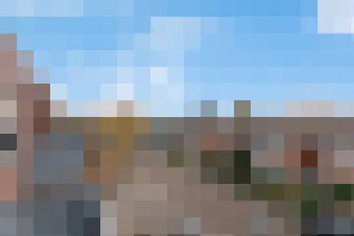 Blauwgras 5 10 Veenendaal thumbnail 13