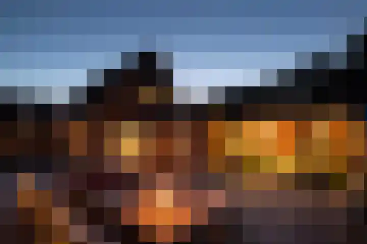 Blauwgras 64 Borne