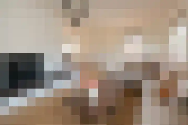 Blauwgras 64 Borne thumbnail 10