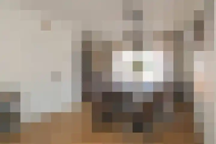 Blauwgras 64 Borne thumbnail 12