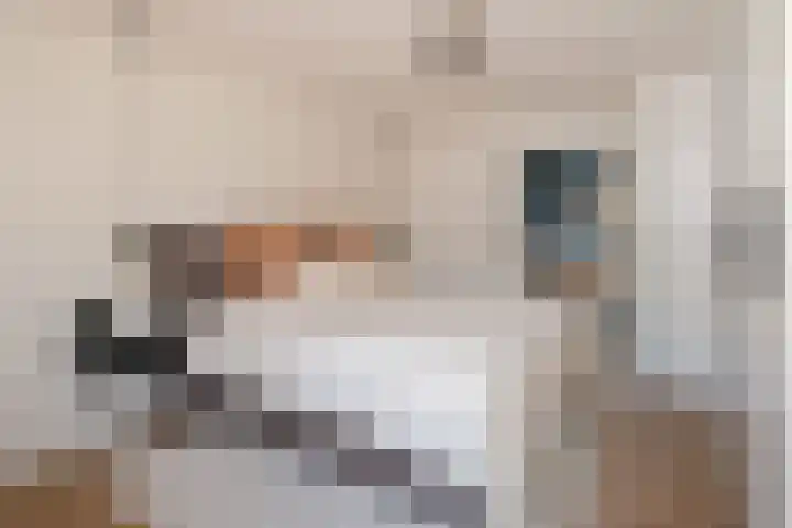 Blauwgras 64 Borne thumbnail 18