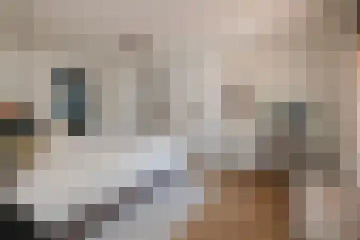 Blauwgras 64 Borne thumbnail 19