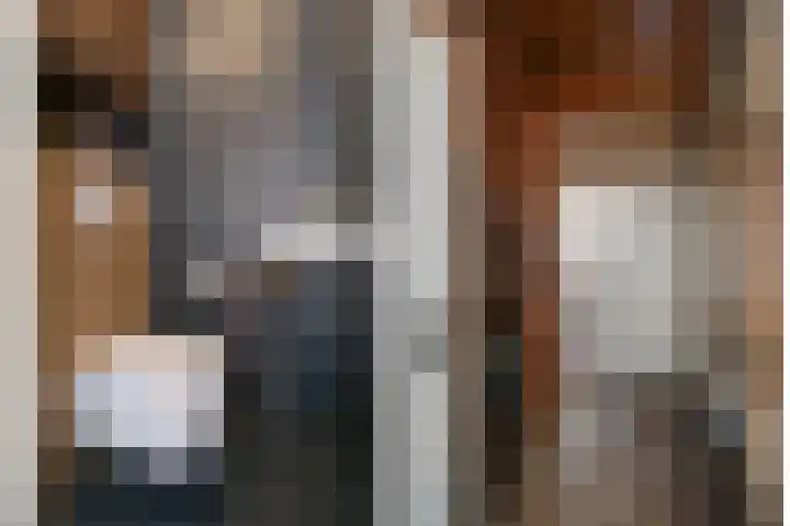 Blauwgras 64 Borne thumbnail 23
