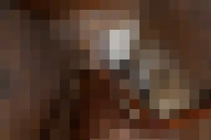 Blauwgras 64 Borne thumbnail 24