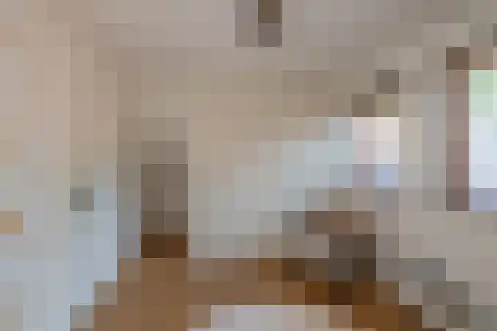 Blauwgras 64 Borne thumbnail 30