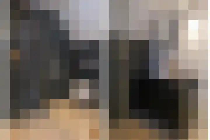 Blauwgras 64 Borne thumbnail 31