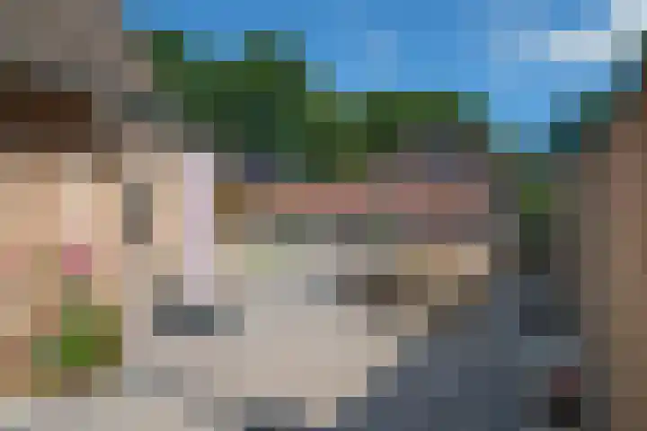 Blauwgras 64 Borne thumbnail 33