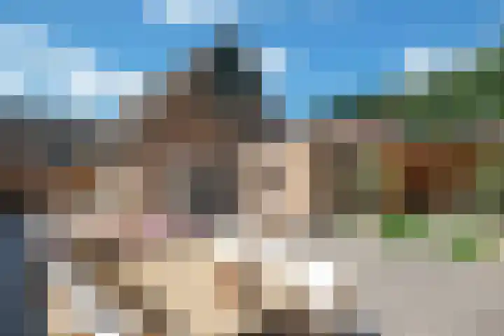 Blauwgras 64 Borne thumbnail 34