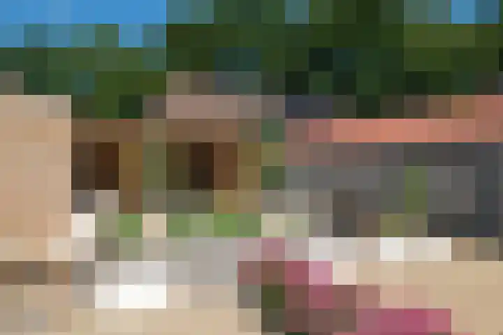 Blauwgras 64 Borne thumbnail 35