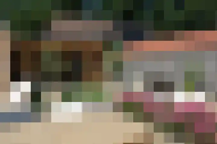 Blauwgras 64 Borne thumbnail 36