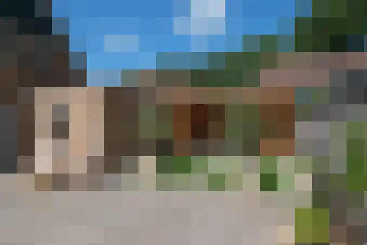 Blauwgras 64 Borne thumbnail 37