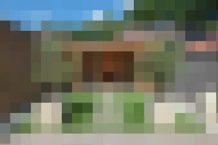 Blauwgras 64 Borne thumbnail 38